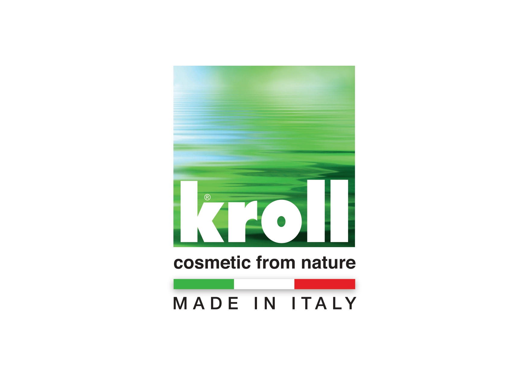 KROLL SRL